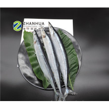 Wholesale price size number 2 pacific saury